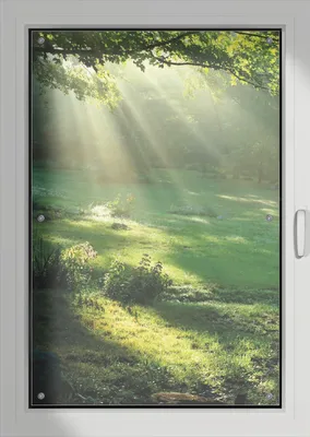 Produktbild von Wallario Lichtschutzbild, Dekorativer Sichtschutz Sonnenschutz 76 x 115 cm mit Motiv: Sonnenstrahlen im Wald - Verdunklung ohne Bohren