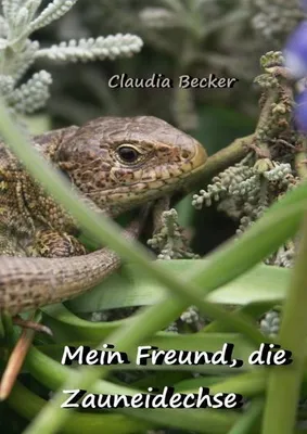 Produktbild von Mein Freund, die Zauneidechse