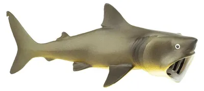 Produktbild von Safari Ltd Basking Shark Figur Grau From 3 Years Grau From 3 Years