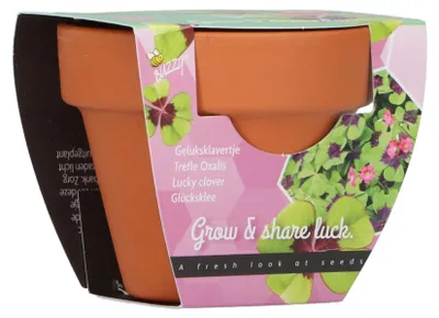Produktbild von Wachsen Geschenke Baumschule Set Wachstum Geschenk Klee 4 - Buzzy