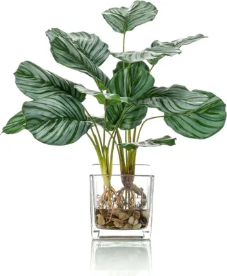 Produktbild von artplants.de Deko Calathea Orbifolia AGINA im Glastopf, grün-weiß, 45cm - Grünpflanze künstlich