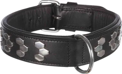 Produktbild von TRIXIE Active Halsband mit Applikationen, Hund, Schwarz, Silber, Leder, Einfarbig, Extragroß, 65 cm