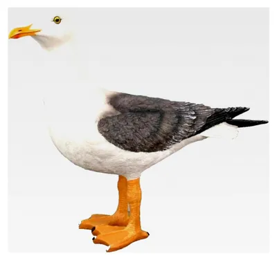 Produktbild von Stehende Deko-Möwe 44 x 37 x 14 cm Maritime Dekoration Figur für Garten und Innenbereich