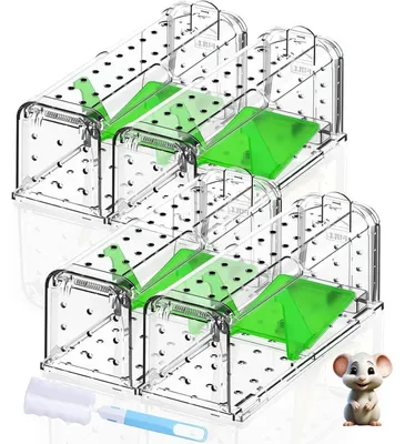 Produktbild von Lebendfalle für Mäuse 4er Set Grün Robust Langlebig Sicher Effektiv Wiederverwendbar