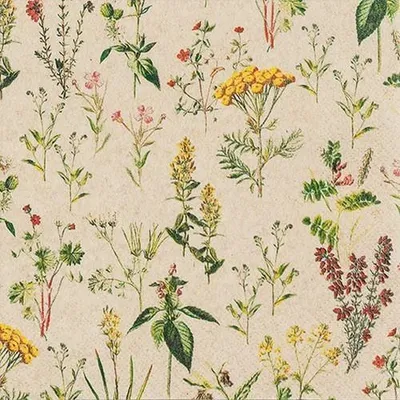 Produktbild von Servietten 33x33 cm - Herbal Meadow