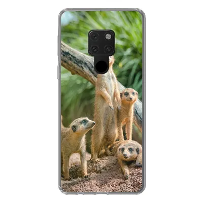 Produktbild von MuchoWow® Handyhülle Schutzhülle Hülle für Huawei P40 Lite Familie - Tiere - Erdmännchen Silikon Softcase Handy Hülle - Handy