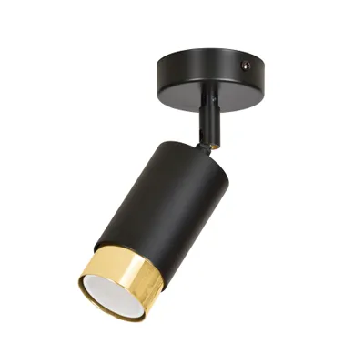 Obrázok produktu pre Led Stropná Lampy Hiro 1 Čierno-Zlatá
