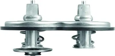 Image de Thermostat Mahle pour