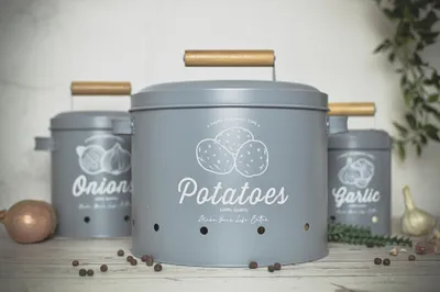 Three storage containers for vegetables, labeled 'Potatoes', 'Onions', and 'Garlic', are arranged on a surface with some scattered peppercorns and a raw onion and garlic bulb.