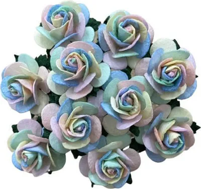 Obrázok produktu pre ROSEN Otvorené 20 mm 50 ks Scrapbooking morušový papier Kvety, pestrofarebné