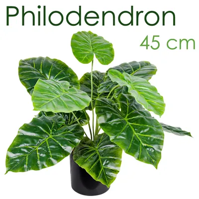 Produktbild von Decovego Künstlicher Aronstab (Araceae Arum Taro), Kunstpflanze aus hochwertigem Kunststoff, 45 cm Höhe, für Innenbereiche, pflegeleicht & allergikerfreundlich