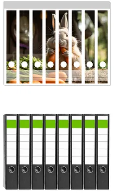 Produktbild von Wallario 8 Stück schmale Ordner inkl. Klebeetiketten mit Motive Karottenliebhaber -  Set mit Rückenschildern / Ordnerrücken Stickern