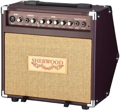 Immagine prodotto di Carlsbro Sherwood 20 Combo per strumenti elettroacustici
