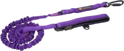 Produktbild von JoQu® Stoßdämpfende Hunde-Freizeitleine Lila