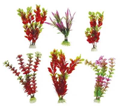 Produktbild von Aquarienpflanzen TATRAPET, künstliche Dekorationen, 6 Stk., mit Beschwerung,15-20cm, rot, Designmix, Pack. 6Stk. (Set: 6 Stück)