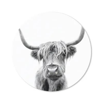 Produktbild von MuchoWow® Mauspad Mousepad Scottish Highlander - Tier - Schwarz - Weiß 40x40 cm - Mousepads - Maus Mat - Pad - Mausunterlage - Schreibtisch Accessoires