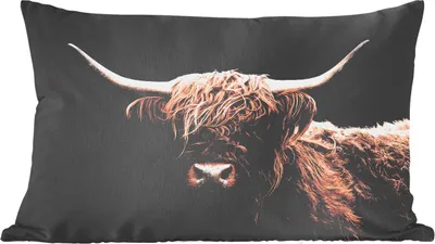 Produktbild von MuchoWow® Zierkissen Sofakissen Wohnzimmer Dekokissen 60x40 cm Schottisches Hochlandrind - Schwarz - Horn - Kopfkissen - Polster mit Foto
