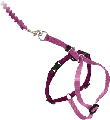 Zdjęcie produktu dla Szelki dla kota z obrożą – smycz dla psa i kota – do spacerów na zewnątrz – delikatne dopasowanie do ramion – obwód klatki piersiowej 33-46 cm – kolor różowy/bordowy