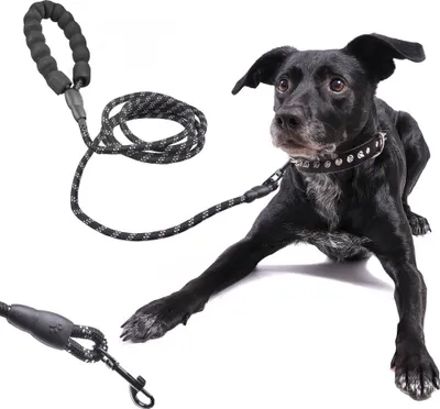 Image de Laisse pour chien sur corde durable réfléchissante 3m