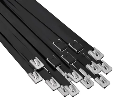 Productafbeelding van vidaXL Kabelbinders, 25 stuks, 7,9 x 700 mm, zwart