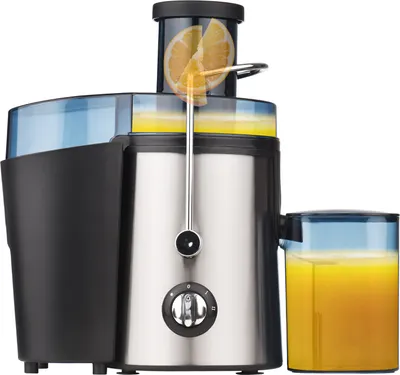 Produktbild von Entsafter Haushaltsgrosskaliber Elektrischer Edelstahlkoerper 800W Hochleistungsstarker Obst- und Gemueseextraktor Restsaftabscheidung