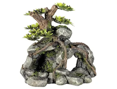 Obrázok produktu pre Vodné ozdoby "STEINHÖHLE" s rastlinami 13,3 x 9,5 x 12,8 cm