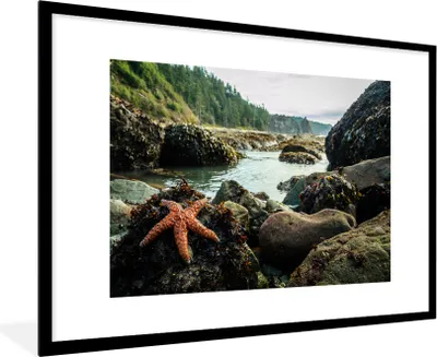 Produktbild von MuchoWow® MuchoWow® Gerahmtes Poster Meer - Steine - Seesterne 90x60 cm - Poster mit zchwarzem Bilderrahmen - Wanddekoration - Fotos