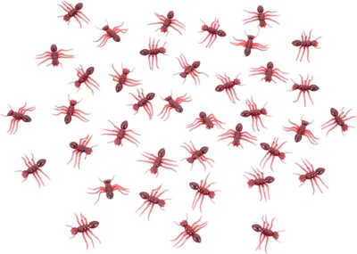 Image de fourmis rouges nappe 20 pcs 3 cm -