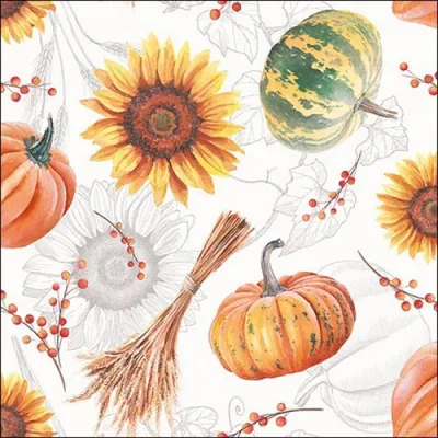 Image de Serviettes de table Lunch - Serviettes de table Lunch - Format : 33 x 33 cm - 3 plis - 20