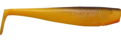 Image de MASTER SHAD 11 cm - Couleur M21