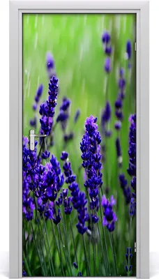 Produktbild von Tulup Türaufkleber 95x205 cm Dekorative Aufkleber Selbstklebend Wasserdichte Tapete Abnehmbar Schlafzimmer Wohnzimmer Wohnkultur - Lavendelfeld