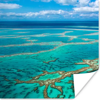 Produktbild von MuchoWow® Poster Fotodruck Great Barrier Reef 100x100 cm - Babyzimmer