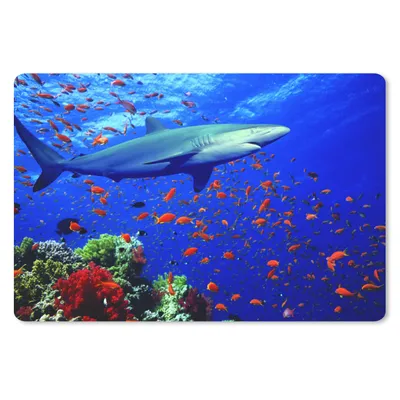Produktbild von MuchoWow® Schreibtischunterlage Hai am Korallenriff 60x40 cm - XXL Mauspad - Großes Mauspad