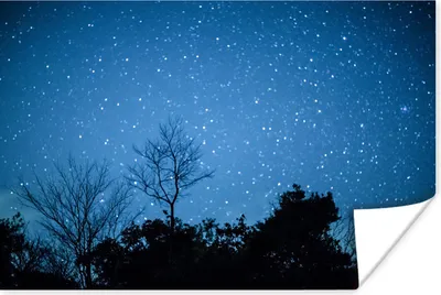 Produktbild von MuchoWow® Poster Sternenhimmel - Wald - Blau 120x80 cm - Bilder