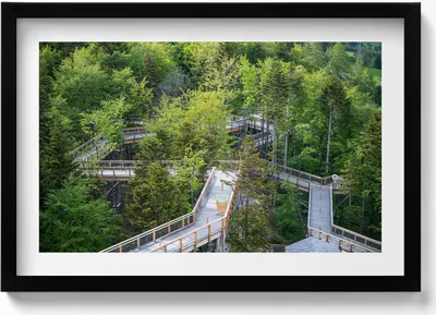 Produktbild von Ein Weg in Krynica Zdrój– Wandbild mit Rahmen – Gerahmtes Bild  – Wanddekoration – 60x40 cm –  Schwarz Rahmen