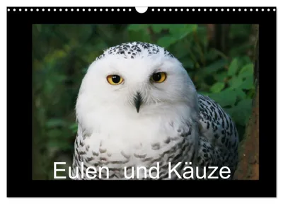 Produktbild von Eulen und Käuze (Wandkalender 2027 DIN A3 quer), CALVENDO Monatskalender