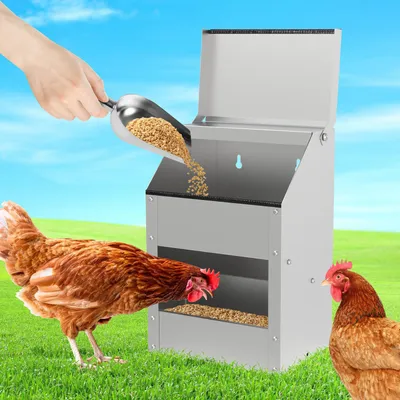 Image de Distributeur de nourriture ISOISL pour poulets, capacité de 5 kg, distributeur de nourriture pour volailles robuste en acier galvanisé, facile à remplir, livré avec une pelle, des gants et une protection de bord