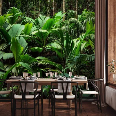 Produktbild von Vlies Fototapete - Freshness of the Jungle 400x280 cm Blätter b-B-0594-a-a