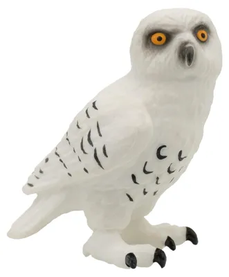 Image de Hibou des neiges