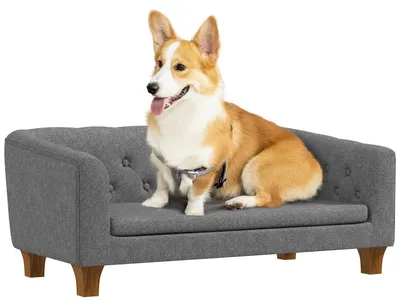 Produktbild von Hundesofa - Haustierbett - Tierbank - Katzenbett - Sofa mit erhöhter Liegefläche - Abnehmbares Kissen