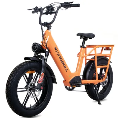 Image de Voyager 2.0 : VTT tout-terrain, vélo électrique avec moteur Bafang, batterie 48V 15Ah, charge utile maximale de 200 kg, freins hydrauliques, capteur de couple