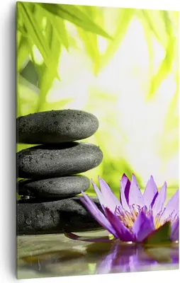 Produktbild von Bild auf Leinwand - Leinwandbild - Einteilig - Spa bambus blume wasser - 80x120cm - Wand Bild - Wanddeko - Wandbilder - Leinwanddruck - Wanddekoration - Leinwand bilder - Wandbild - PA80x120-2477