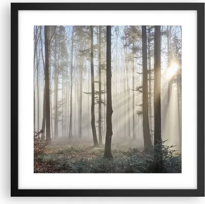 Produktbild von Gerahmtes Poster - Schwarzer Rahmen - Wald Baum Natur - 40x40 cm - Wand Bild - Wanddeko - Wandbilder - Kunstposter - Wandposter - Bilderrahmen - Bilder - Kunstdruck - Wandbild - P2BAC40x40-3749