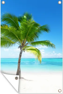 Produktbild von MuchoWow® 40x60 cm Outdoor-Poster Gartendeko Sichtschutz Garten Poster für den Garten  Palme - Strand - Meer - Sommer