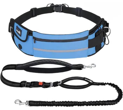 Immagine prodotto di Corda elastica per cani, con cintura addominale, blu, dotata di tasca sulla cintura e con elementi riflettenti