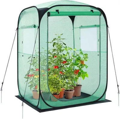 Produktbild von Klein Winterfestes Tomatenhaus mit PE-Abdeckung und Gehweg für optimale Pflanzenwachstum