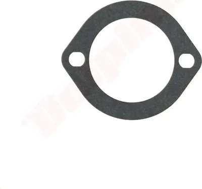 Immagine prodotto di Guarnizione del carburatore Per Tecumseh ( 27272A )