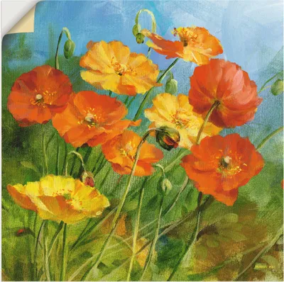 Produktbild von ARTland Wandbild, selbstklebend Sommerfeld II Größe: 70x70 cm