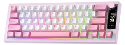 Immagine prodotto di Tastiera da gaming meccanica rosa - Layout compatto del 65% - Illuminazione RGB - Tasti PBT intercambiabili - Wireless e cablata - Compatibile con Mac