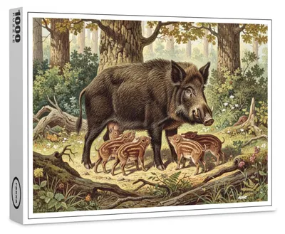 Produktbild von raxxa Premium-Puzzle "Wildschwein mit Jungtier", 1000 Teile